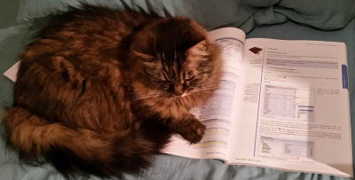 Ein Kater mit besonderer Hingabe zum Thema SAP und Rechnungswesen. Ein Kater mit besonderer Hingabe zum Thema SAP und Rechnungswesen.