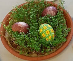 Frohe Ostern