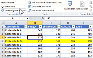 Grunddaten Kostenstelle, Budget, Einnahmen, Aufwand, Saldo