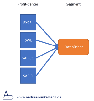 Zuordnung Profit-Center zu Segment