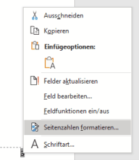 Winword Seitenzahl formatieren