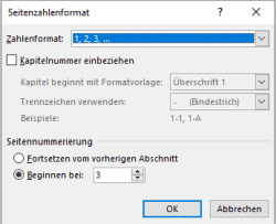 Winword Seitenzahlenformat