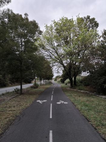 Unterwegs auf Radweg