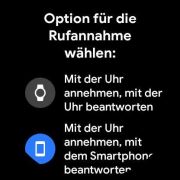 Auswahl der Option zur Rufannahme