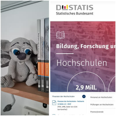 DESTATIS - Statistisches Bundesamt - Hochschulen