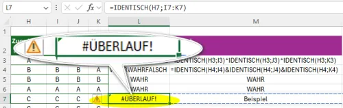 Fehler in der Ausgabe eines Array in Excel