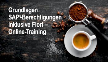 Grundlagen SAP Berechtigungen inklusive FIORI - Online Training