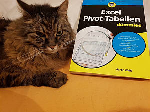 Excel Pivot-Tabellen vom Tabellenexperten