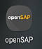 Android Logo openSAP