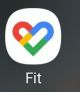 App Google Fit