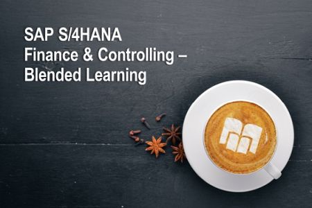 SAP S/4 HANA Finance & Controlling Onlinekurs