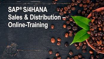 SAP Sales Distribution Online Traing S/4HANA