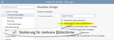 SAP GUI Theme-Einstellungen