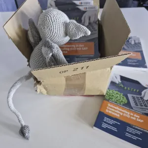 Gideon sitzt im offenen Paket mit Exemplaren meines aktuellen Buches