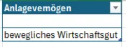 Anlagen - Wirtschaftsgut