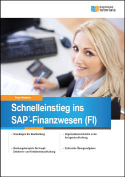 Schnelleinstieg ins SAP-Finanzwesen (FI) von Peter Niemeier Schnelleinstieg ins SAP-Finanzwesen (FI) von Peter Niemeier