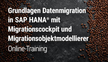 Online-Training SAP S/4HANA Datenmigration mit Migrationscockpit und Migrationsobjektmodellierer